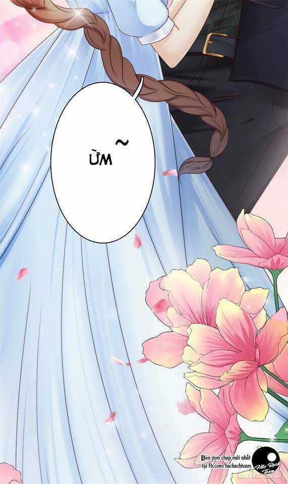 Thất Ức Kiều Thê Sủng Ái Ký Chapter 0 trang 19