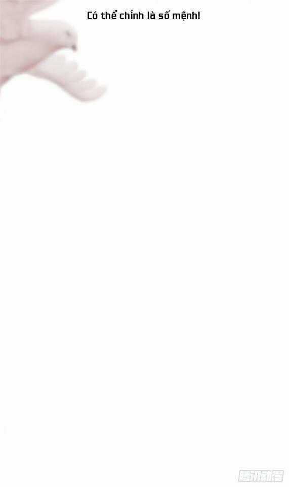 Thất Ức Kiều Thê Sủng Ái Ký Chapter 0 trang 22