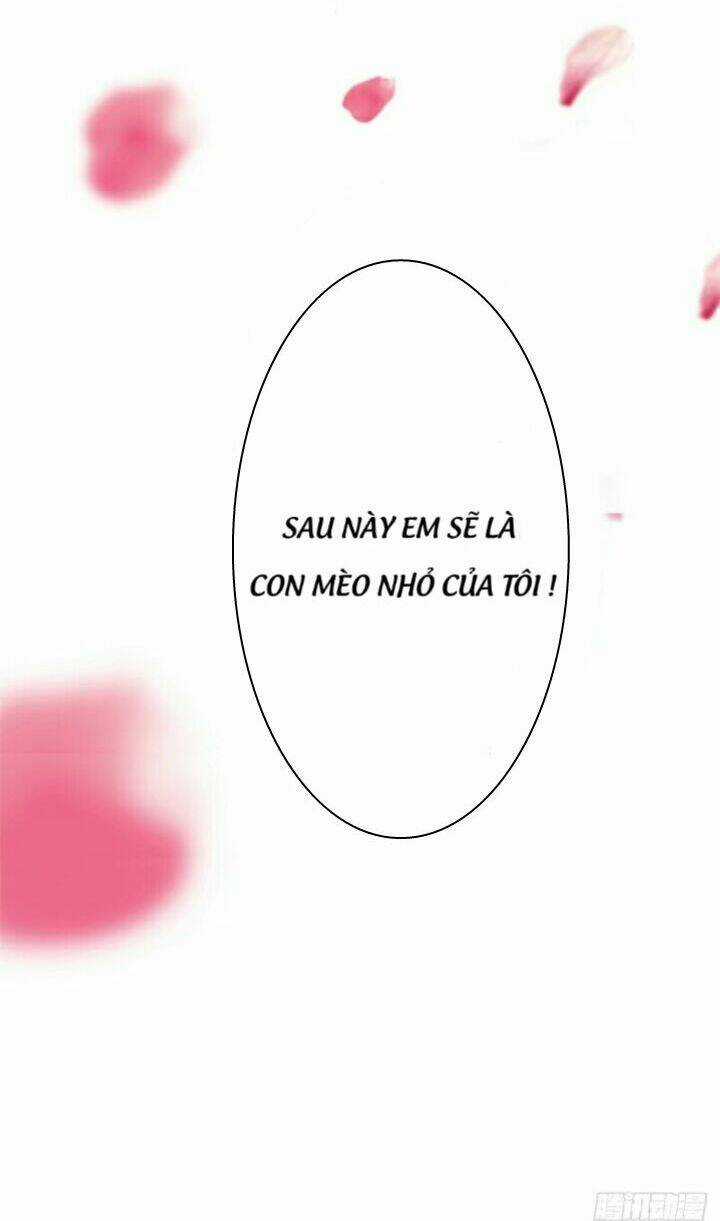 Thất Ức Kiều Thê Sủng Ái Ký Chapter 1 trang 13