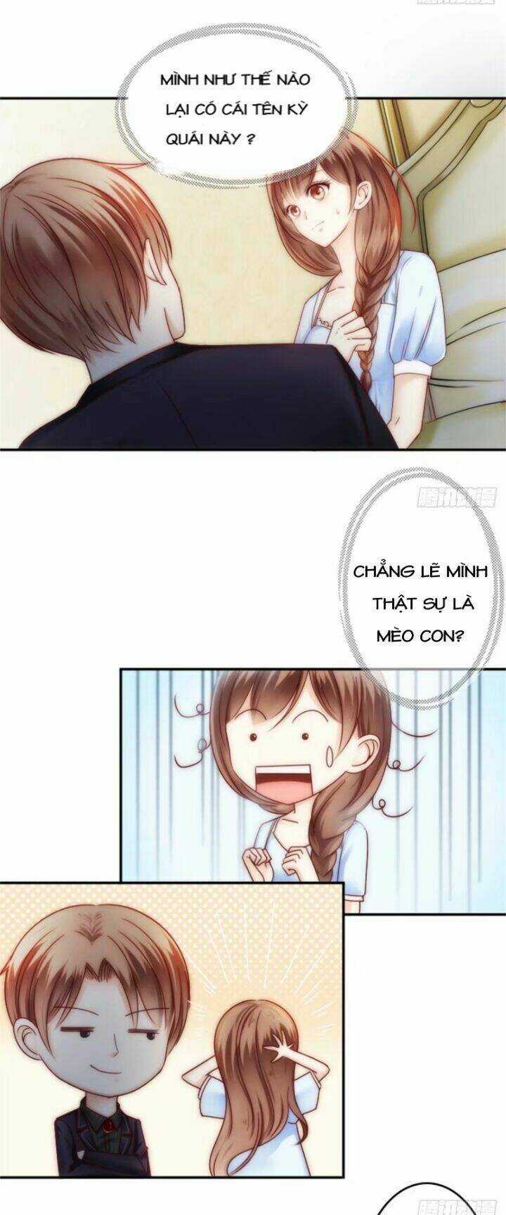 Thất Ức Kiều Thê Sủng Ái Ký Chapter 4 trang 22