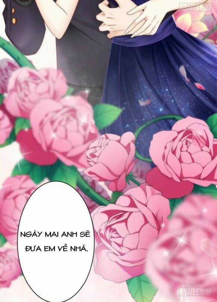 Thất Ức Kiều Thê Sủng Ái Ký Chapter 6 trang 28