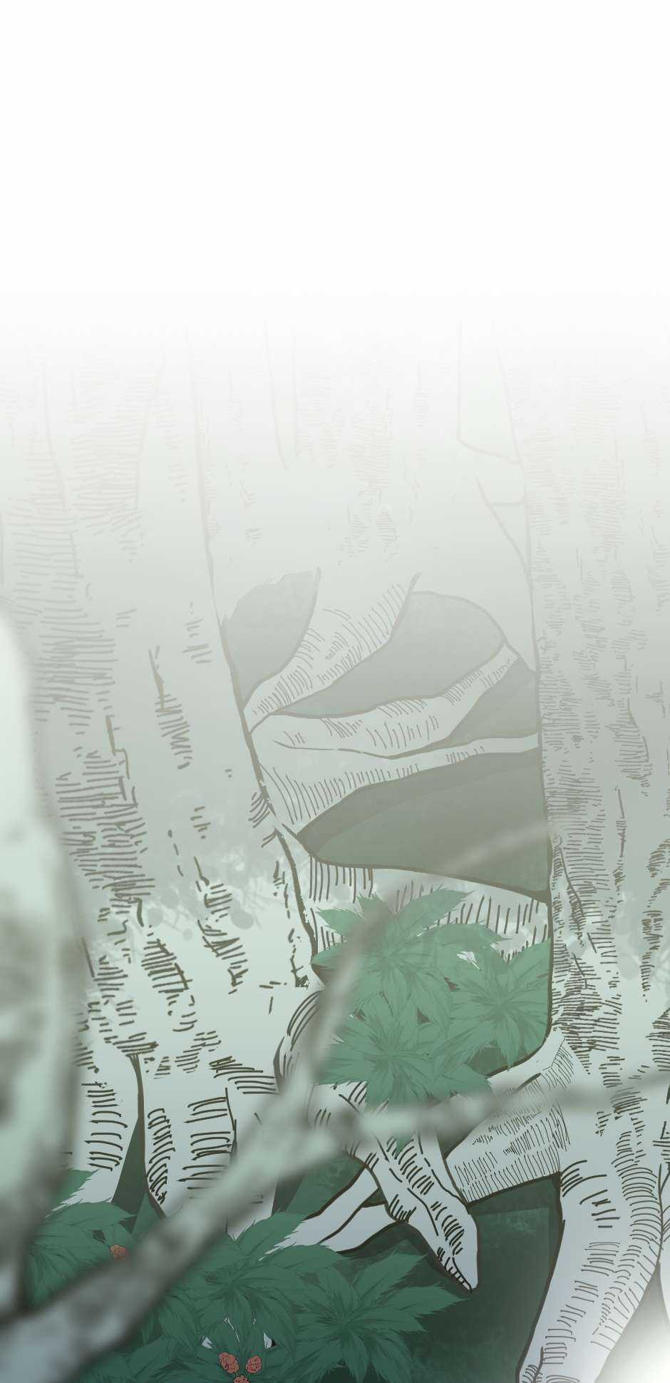 The Beginning After The End Chapter 19 trang 0