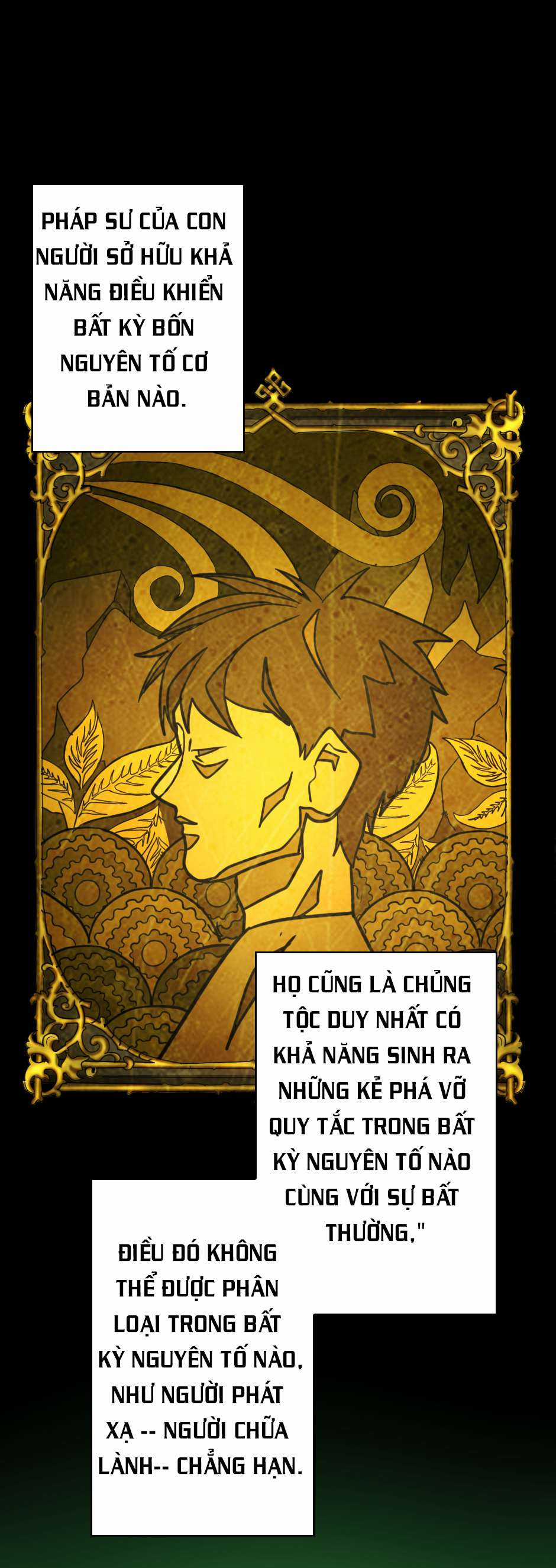 The Beginning After The End Chapter 26 trang 11