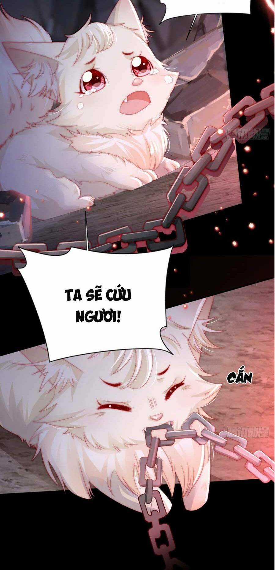 Thê Chủ, Thỉnh Hưởng Dụng Chapter 1.1 trang 5