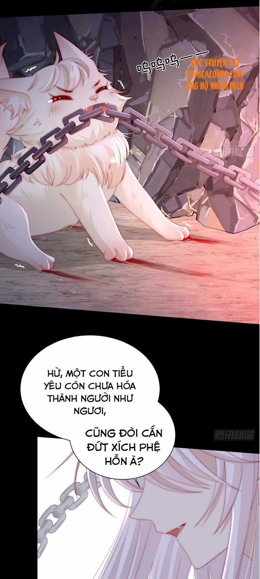 Thê Chủ, Thỉnh Hưởng Dụng Chapter 1.1 trang 6