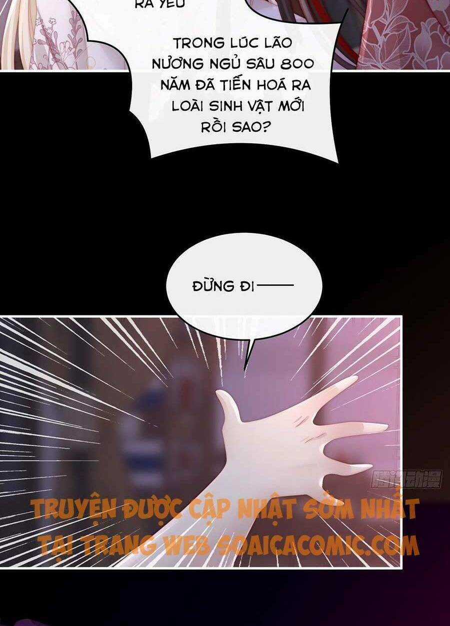 Thê Chủ, Thỉnh Hưởng Dụng Chapter 14 trang 16