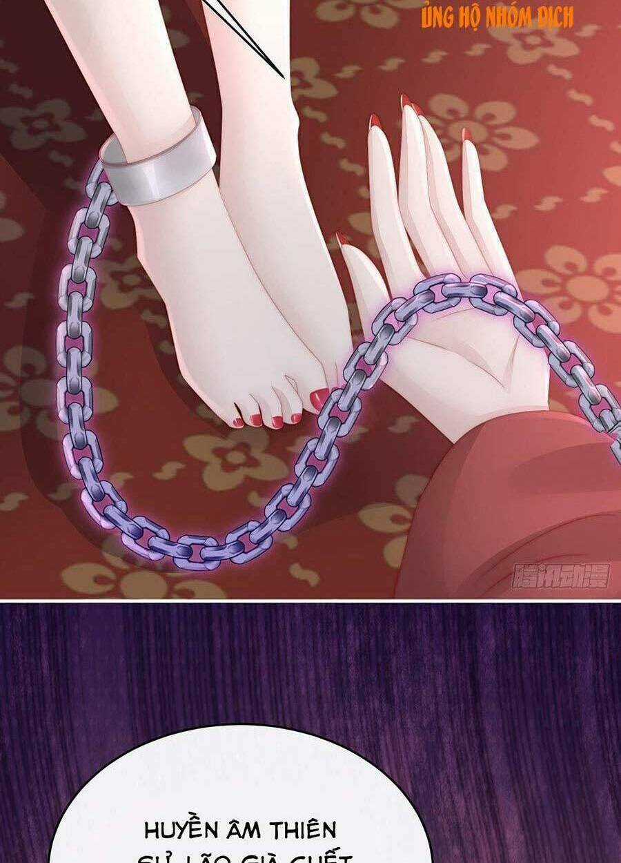 Thê Chủ, Thỉnh Hưởng Dụng Chapter 14 trang 29