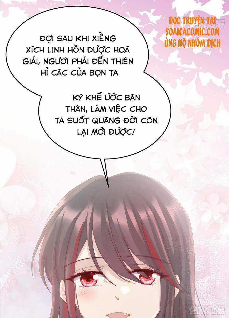 Thê Chủ, Thỉnh Hưởng Dụng Chapter 14 trang 41