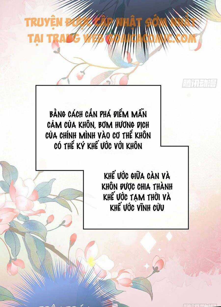 Thê Chủ, Thỉnh Hưởng Dụng Chapter 17 trang 33