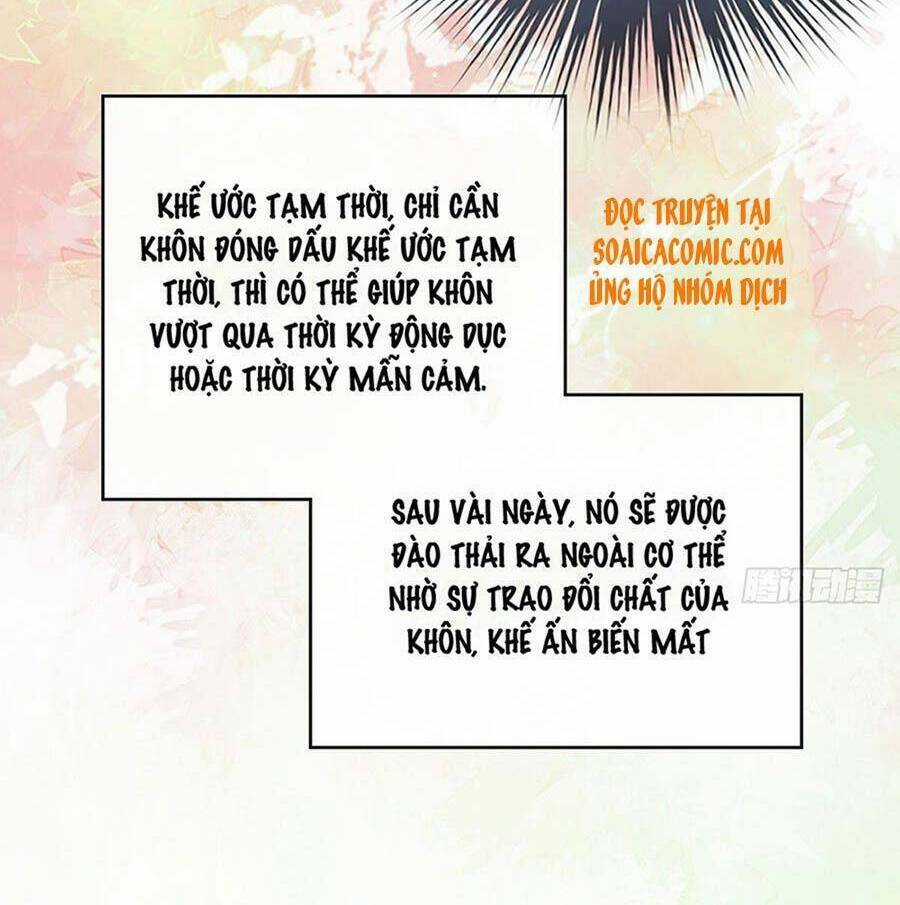 Thê Chủ, Thỉnh Hưởng Dụng Chapter 17 trang 35