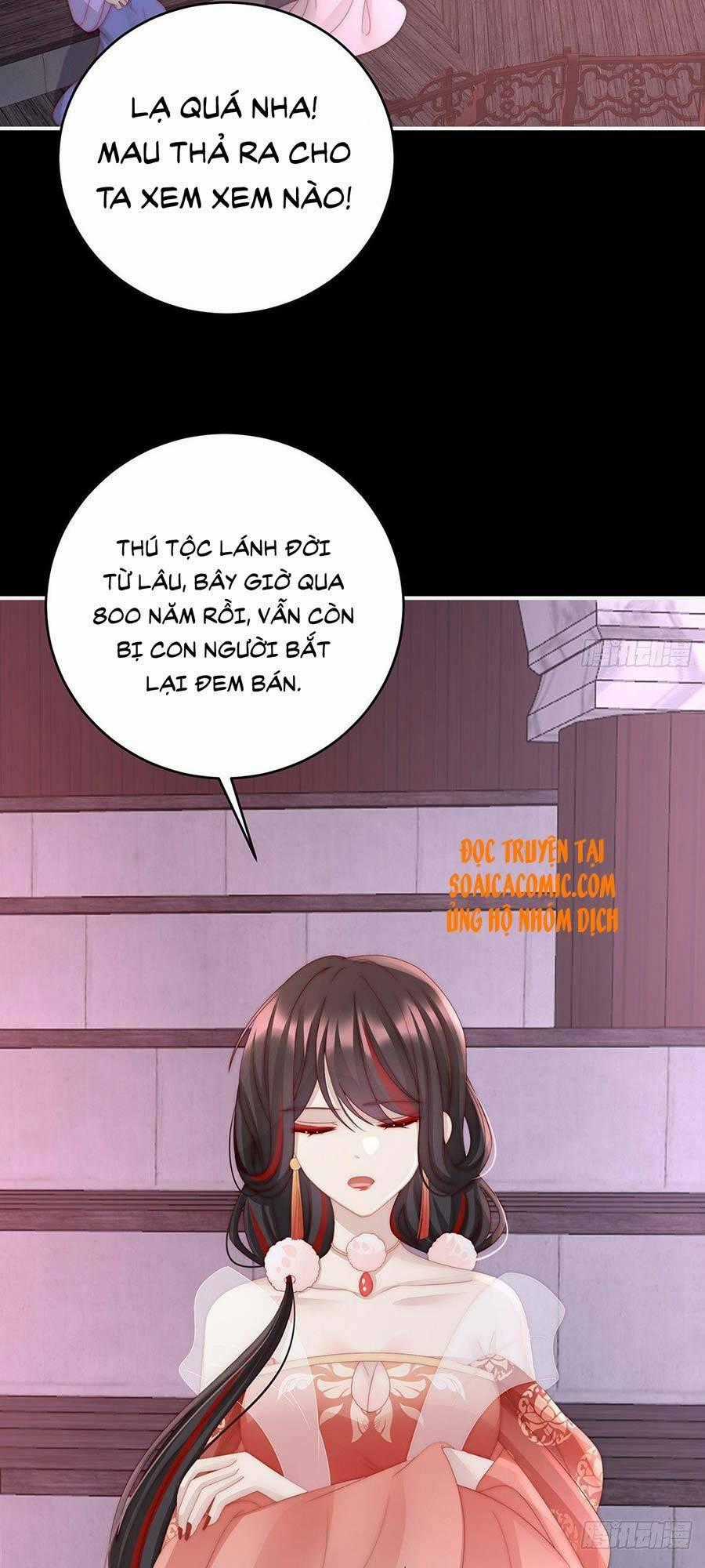 Thê Chủ, Thỉnh Hưởng Dụng Chapter 19 trang 1