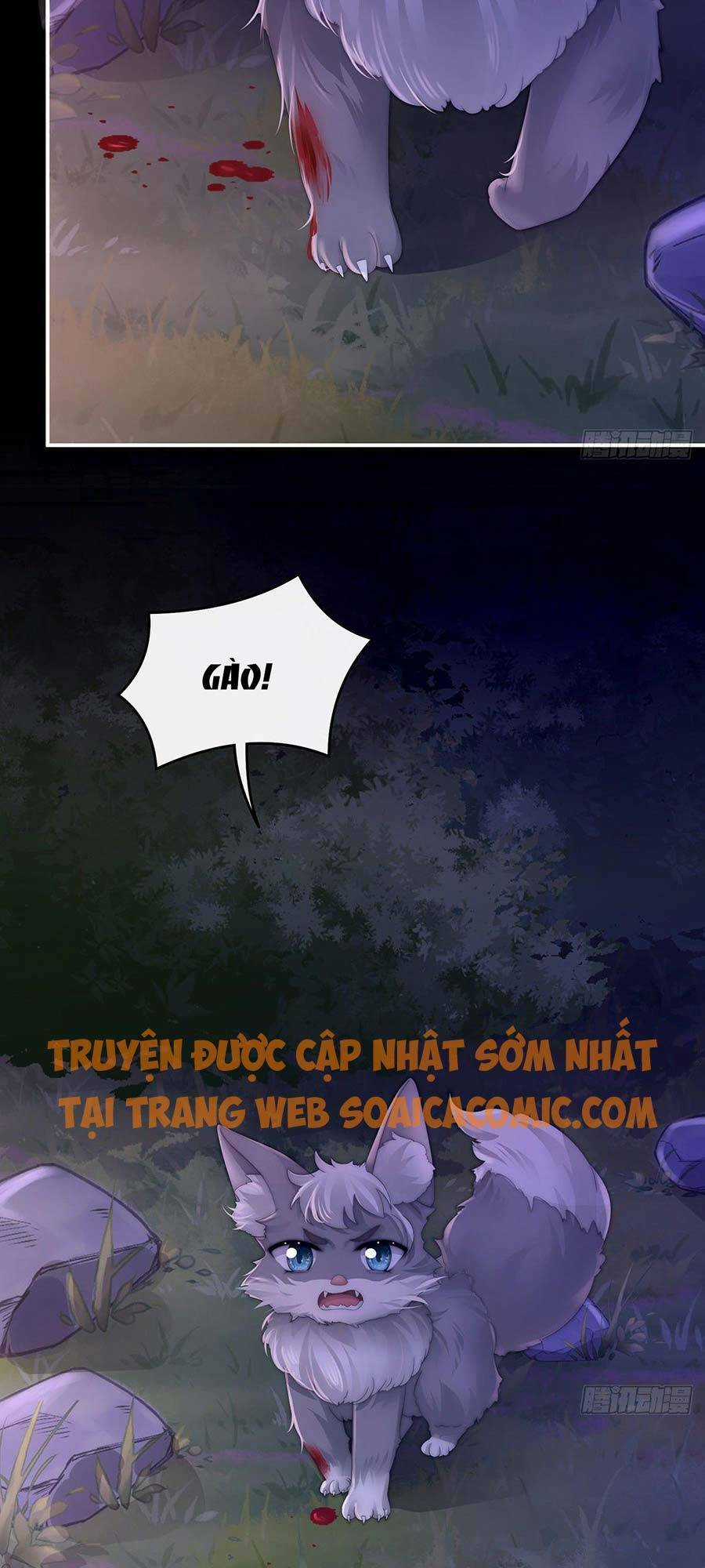 Thê Chủ, Thỉnh Hưởng Dụng Chapter 19 trang 32