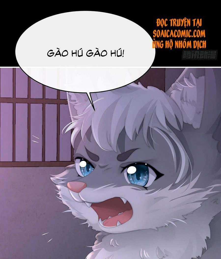 Thê Chủ, Thỉnh Hưởng Dụng Chapter 19 trang 34