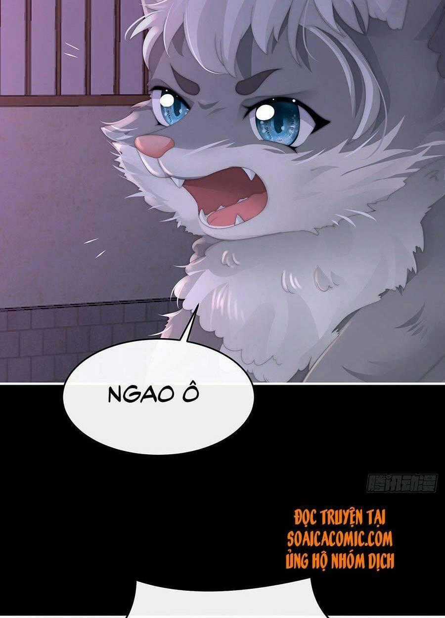 Thê Chủ, Thỉnh Hưởng Dụng Chapter 20 trang 1