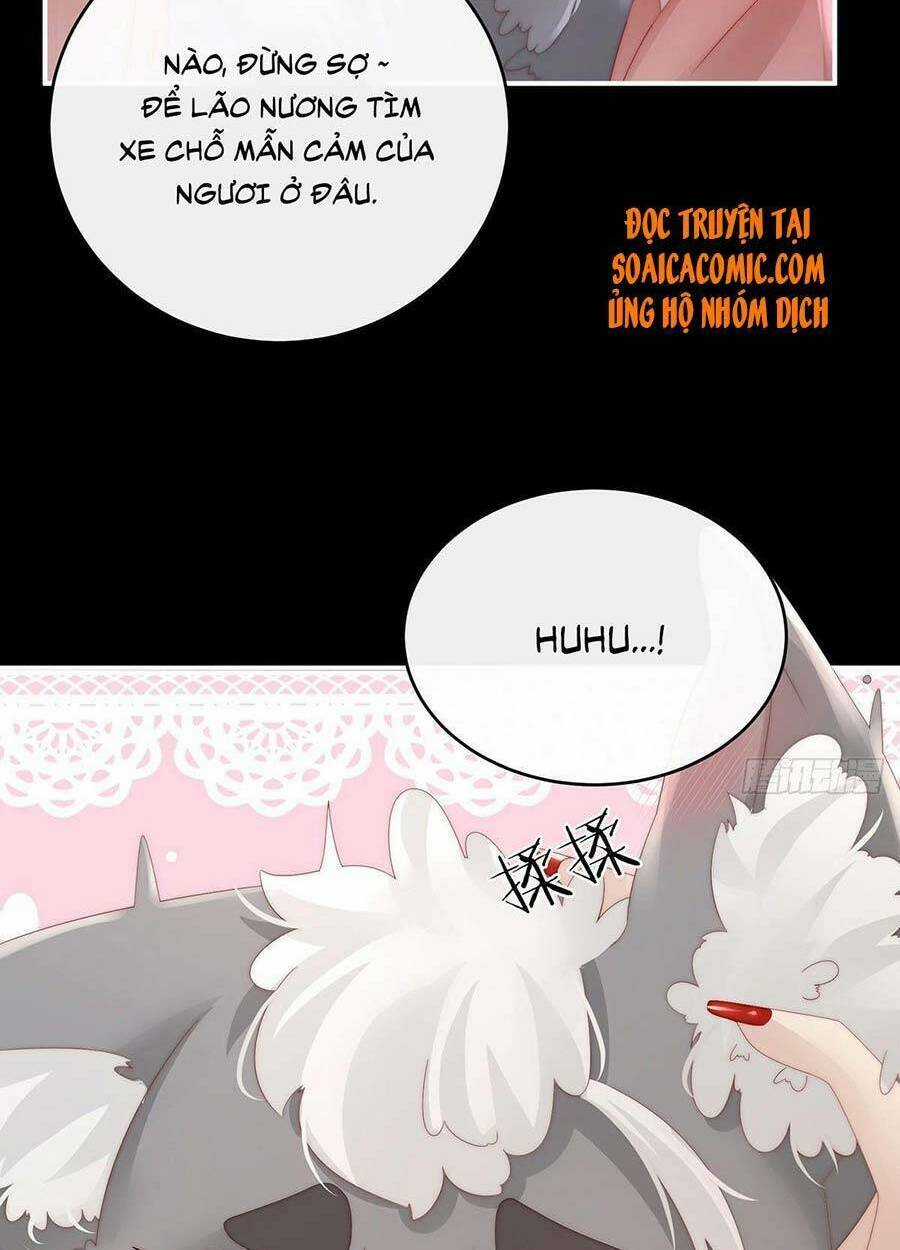 Thê Chủ, Thỉnh Hưởng Dụng Chapter 20 trang 10