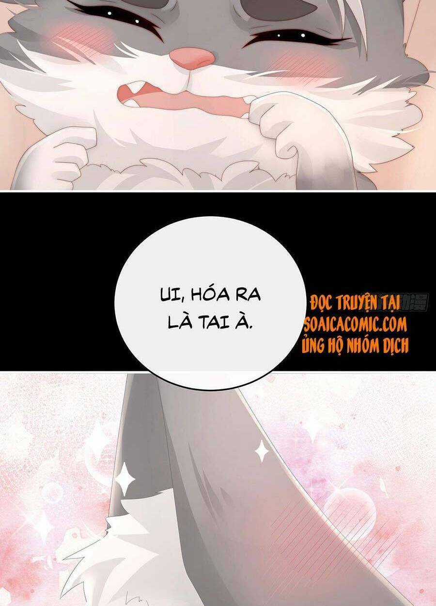 Thê Chủ, Thỉnh Hưởng Dụng Chapter 20 trang 11