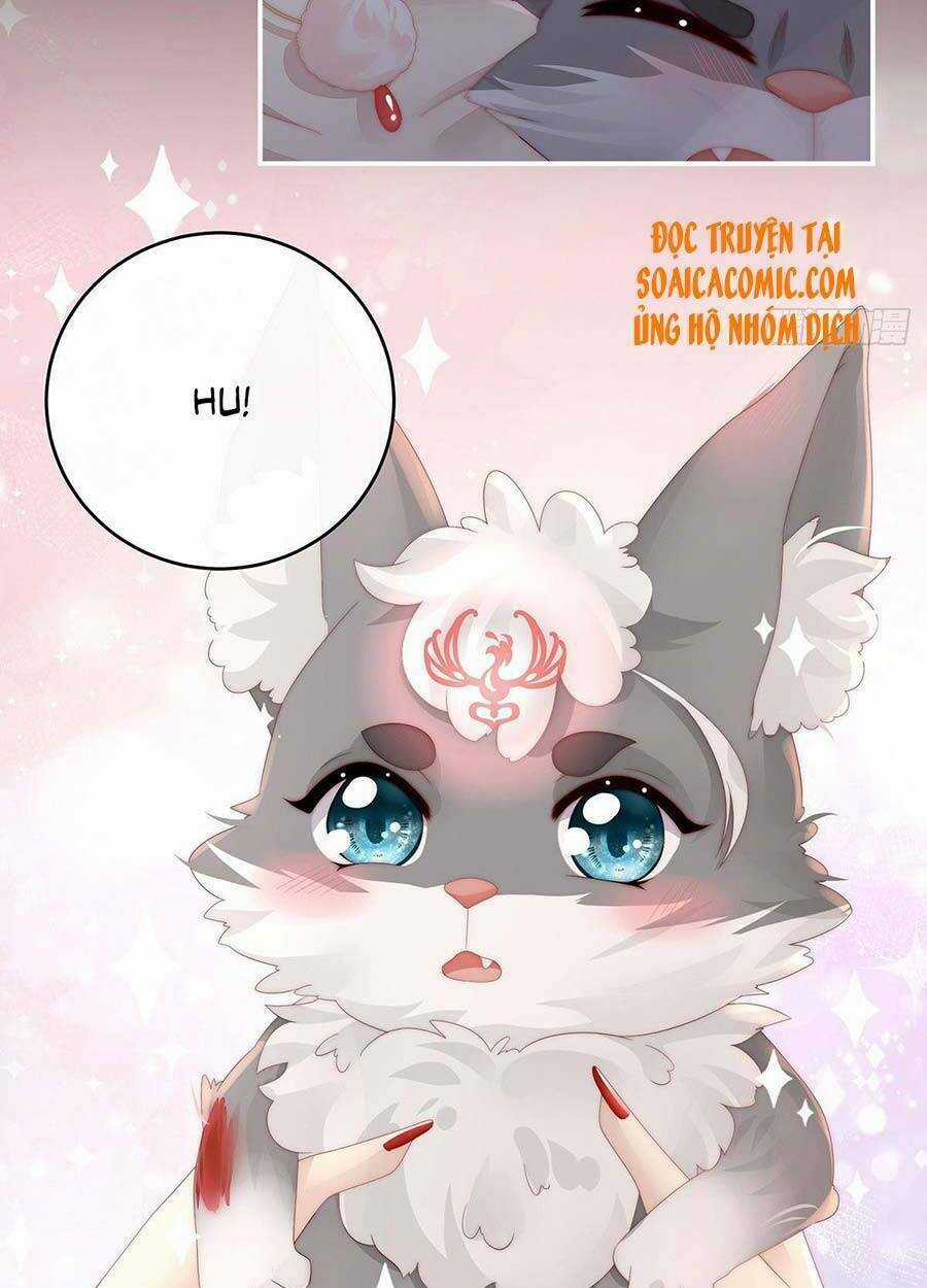 Thê Chủ, Thỉnh Hưởng Dụng Chapter 20 trang 13