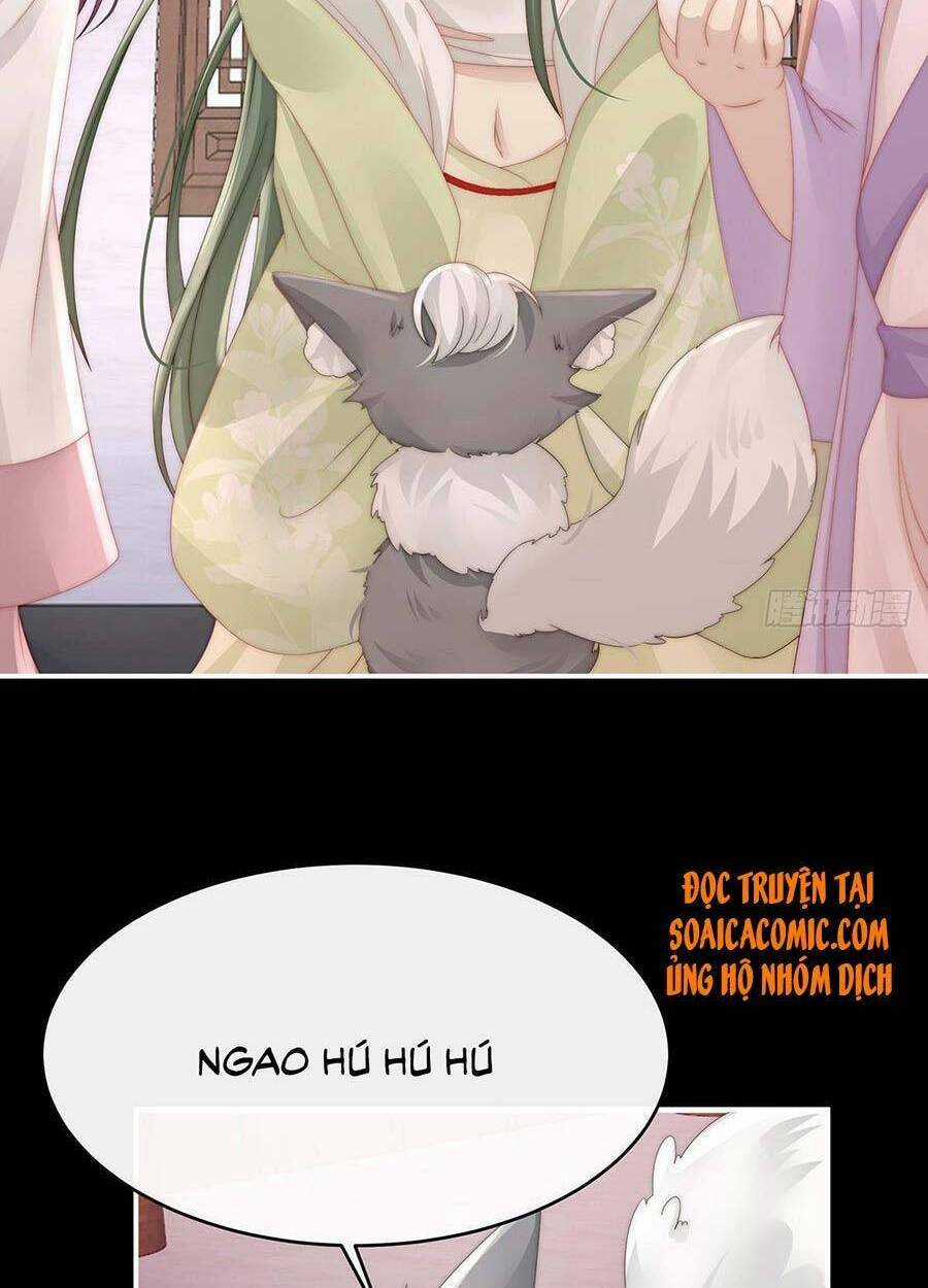 Thê Chủ, Thỉnh Hưởng Dụng Chapter 20 trang 21