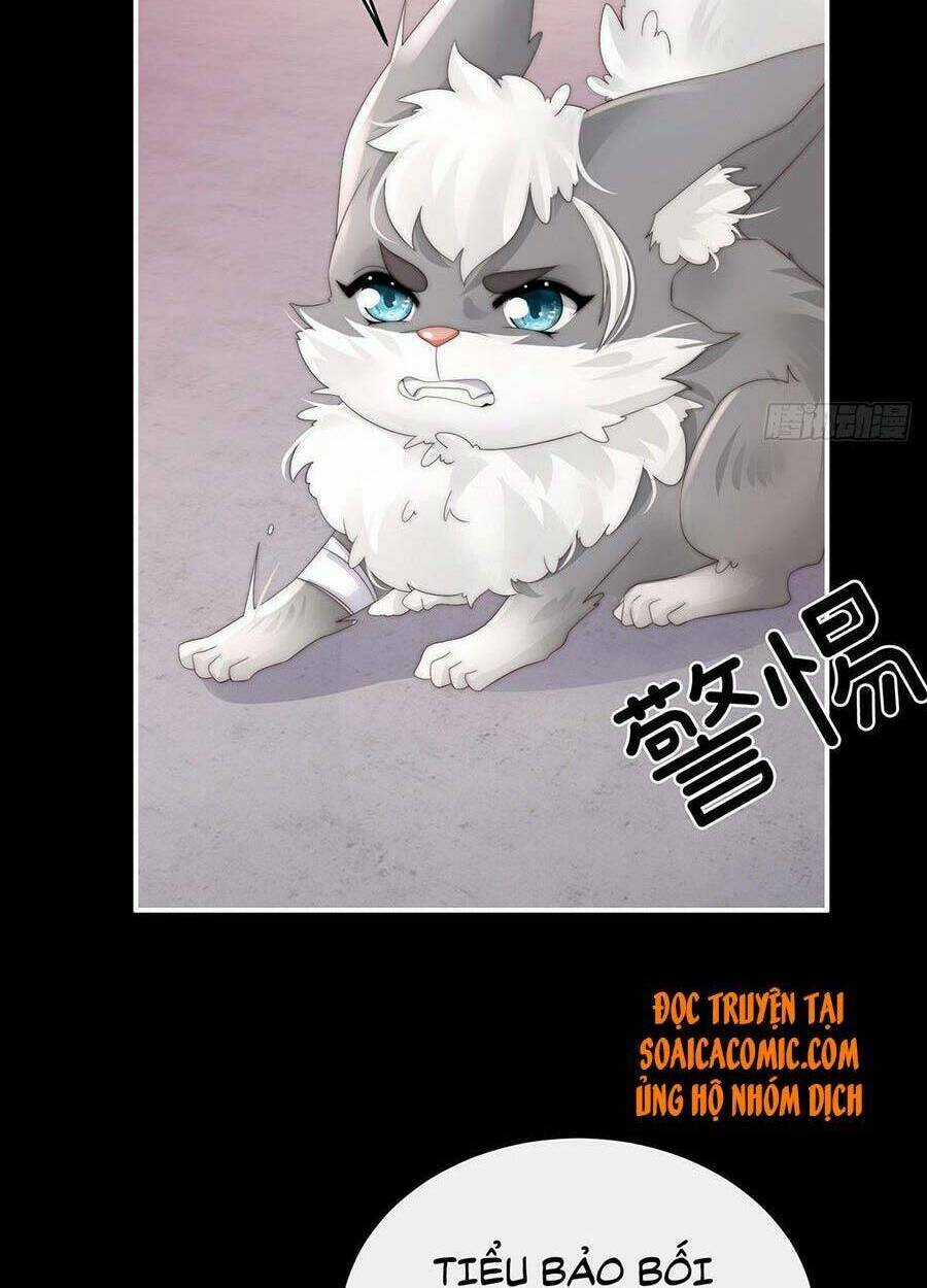 Thê Chủ, Thỉnh Hưởng Dụng Chapter 20 trang 22