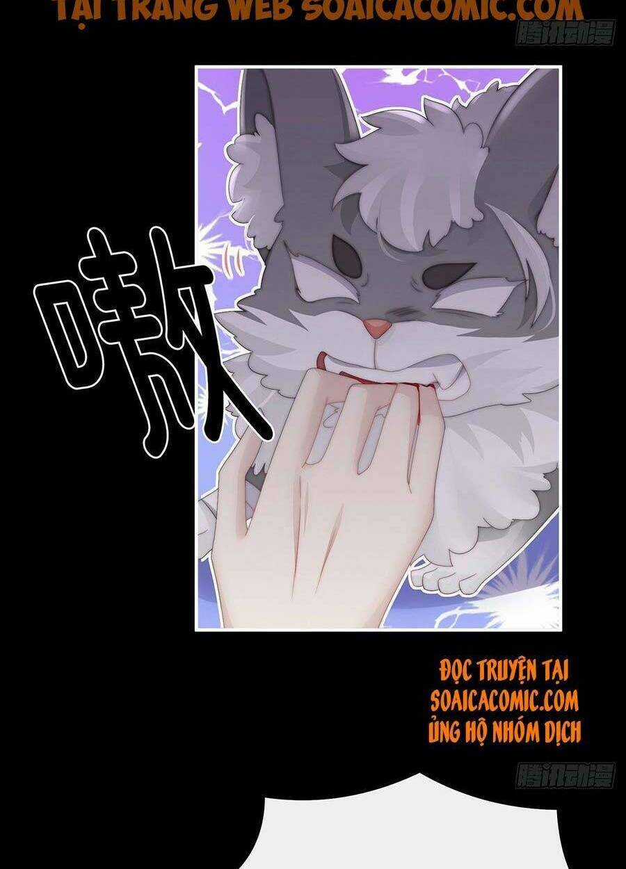 Thê Chủ, Thỉnh Hưởng Dụng Chapter 20 trang 24