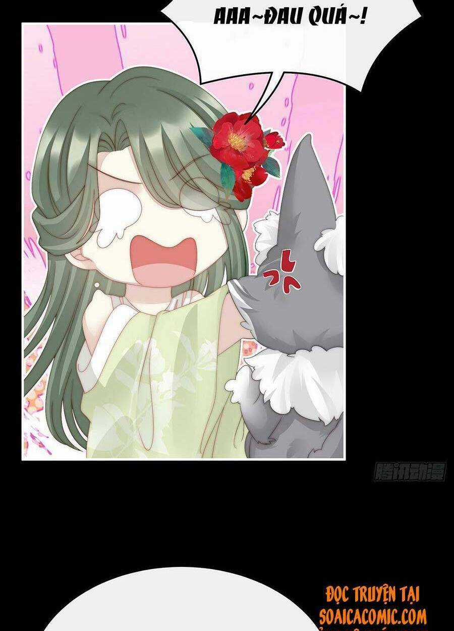 Thê Chủ, Thỉnh Hưởng Dụng Chapter 20 trang 25