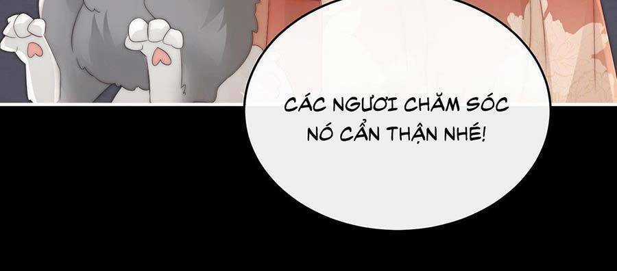 Thê Chủ, Thỉnh Hưởng Dụng Chapter 20 trang 27