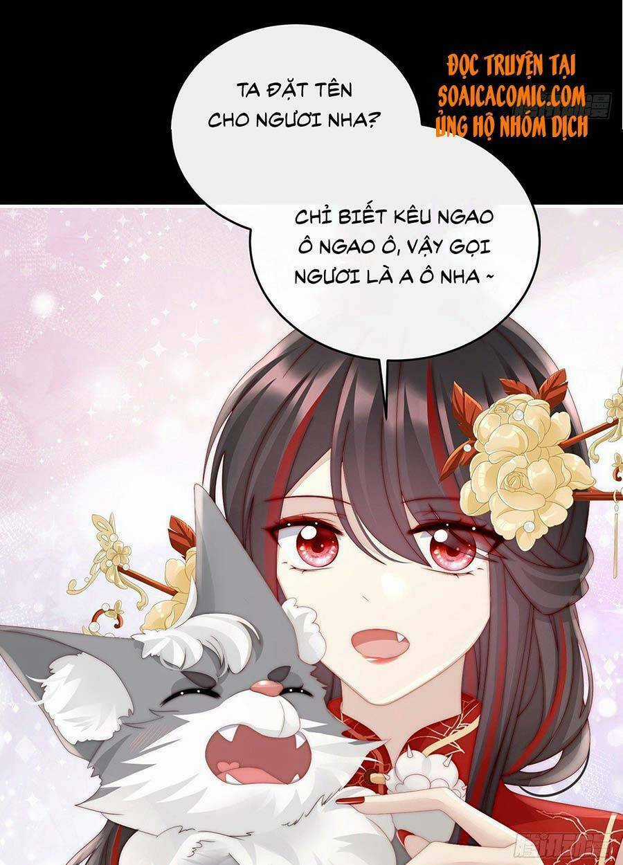 Thê Chủ, Thỉnh Hưởng Dụng Chapter 20 trang 28