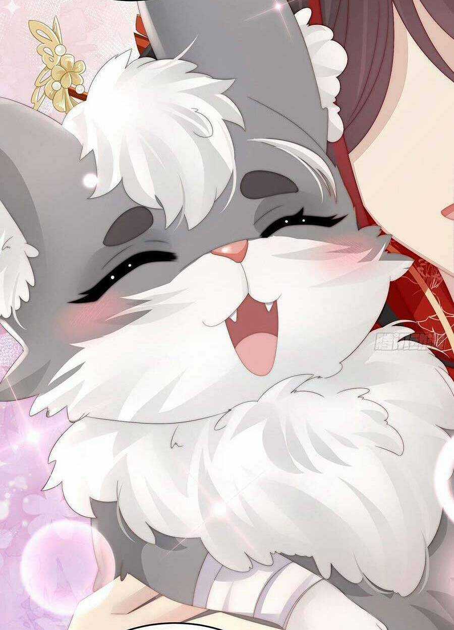 Thê Chủ, Thỉnh Hưởng Dụng Chapter 20 trang 31