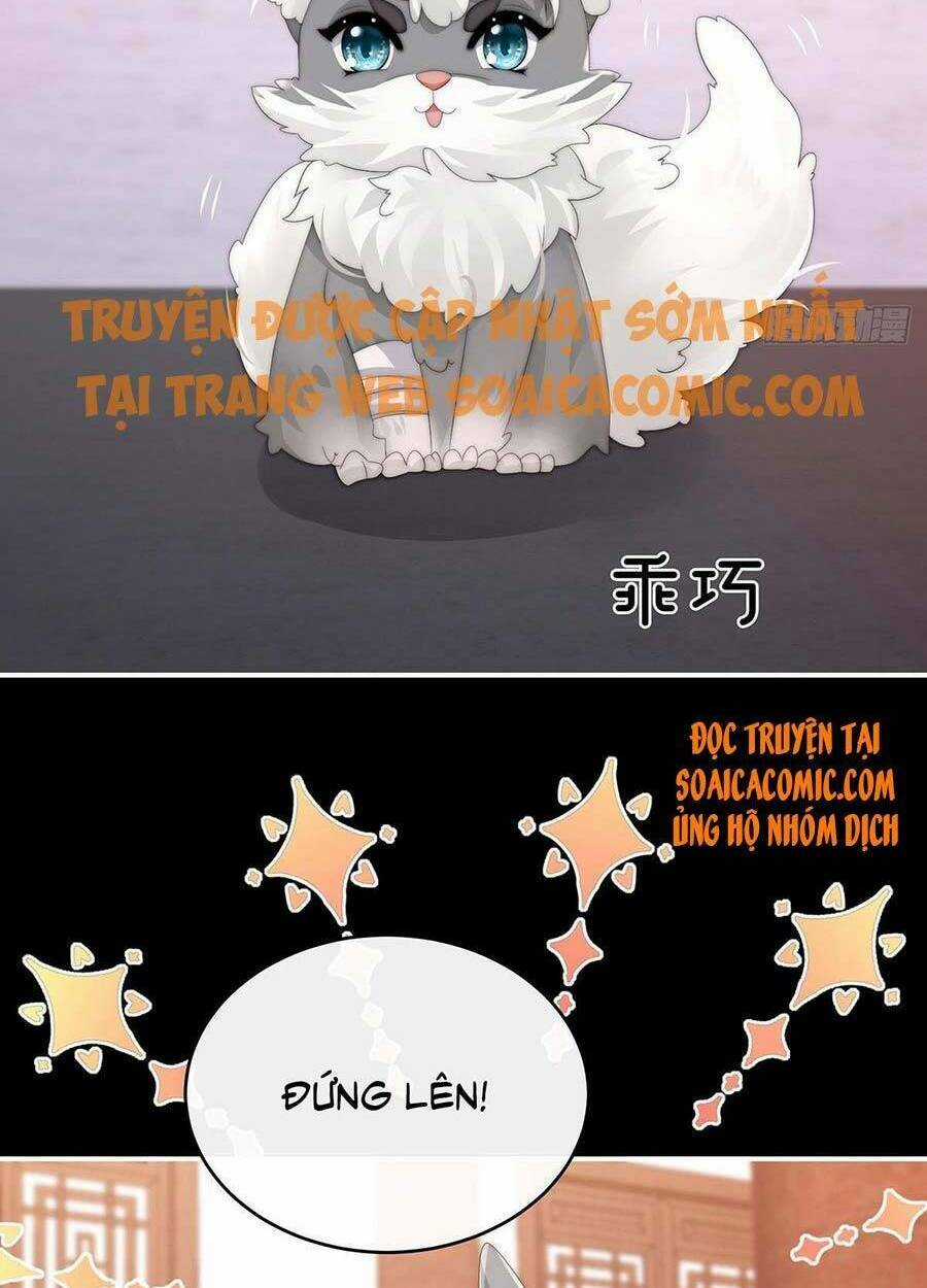 Thê Chủ, Thỉnh Hưởng Dụng Chapter 20 trang 33