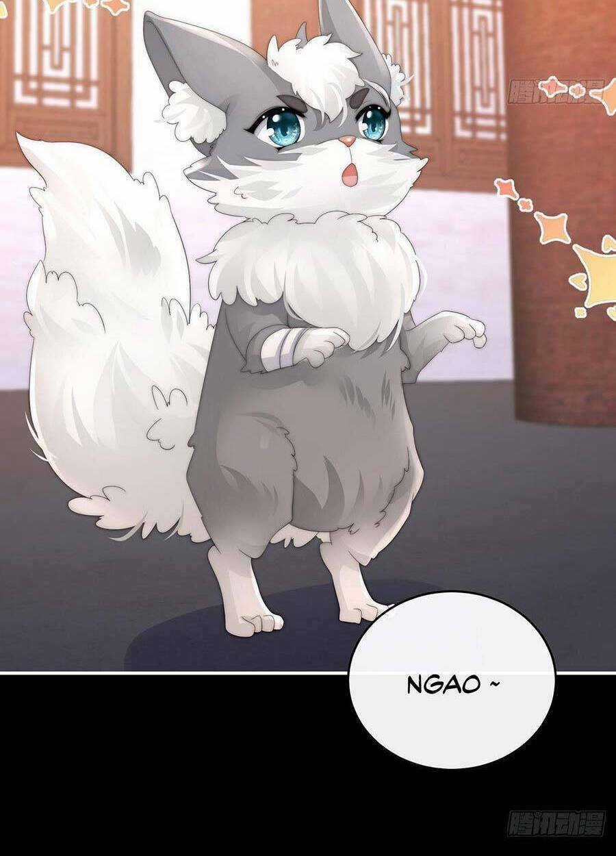 Thê Chủ, Thỉnh Hưởng Dụng Chapter 20 trang 34