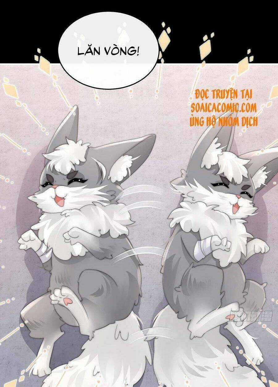 Thê Chủ, Thỉnh Hưởng Dụng Chapter 20 trang 35