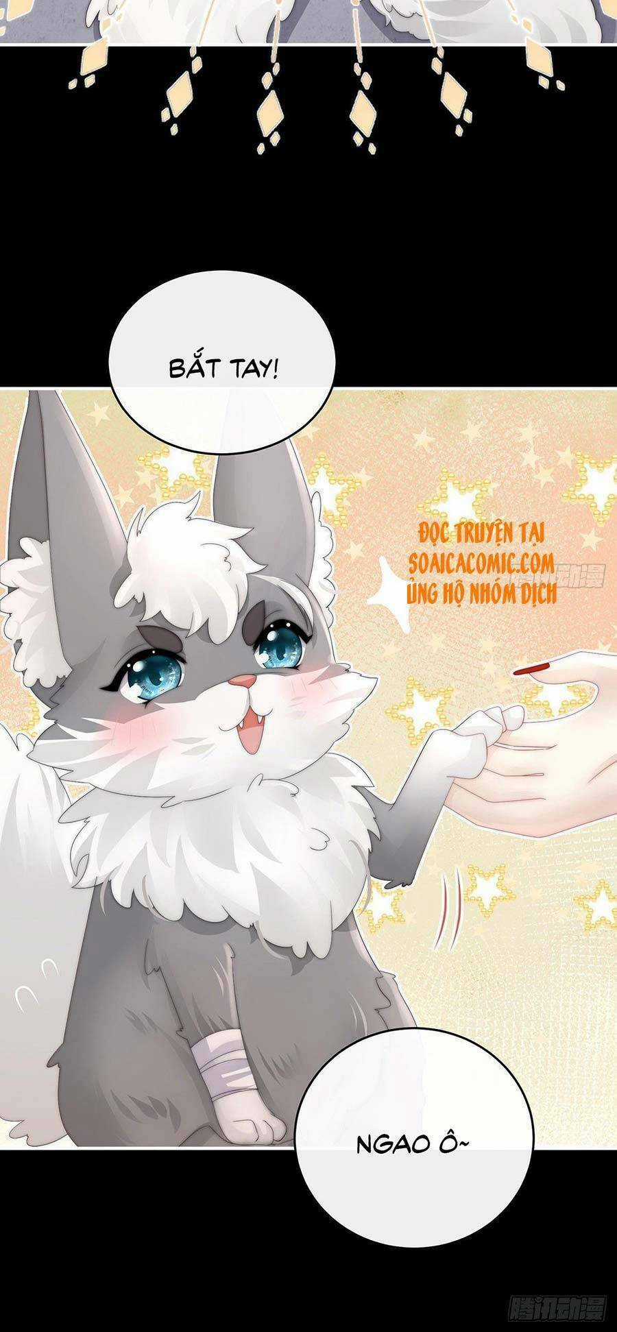 Thê Chủ, Thỉnh Hưởng Dụng Chapter 20 trang 36