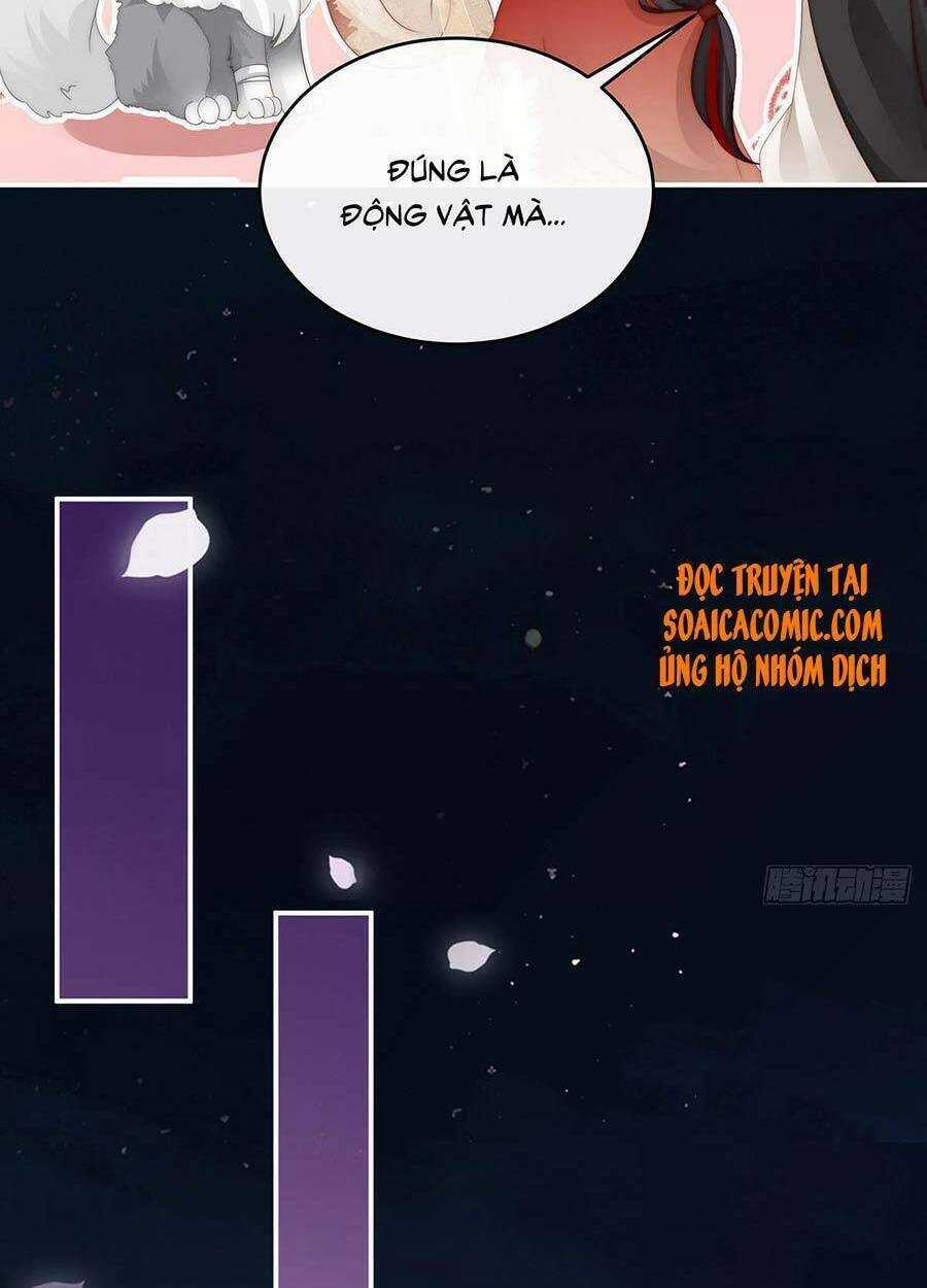 Thê Chủ, Thỉnh Hưởng Dụng Chapter 20 trang 38