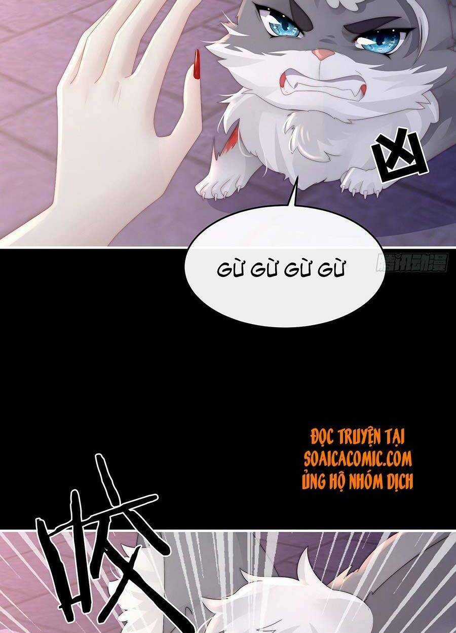 Thê Chủ, Thỉnh Hưởng Dụng Chapter 20 trang 4