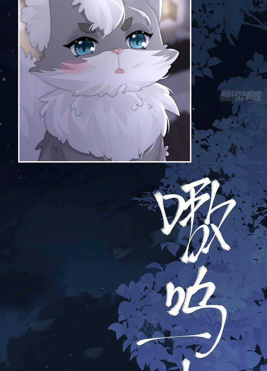 Thê Chủ, Thỉnh Hưởng Dụng Chapter 20 trang 41