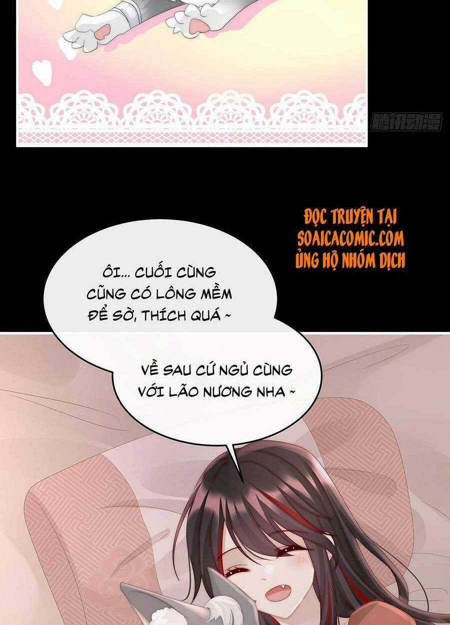 Thê Chủ, Thỉnh Hưởng Dụng Chapter 20 trang 47