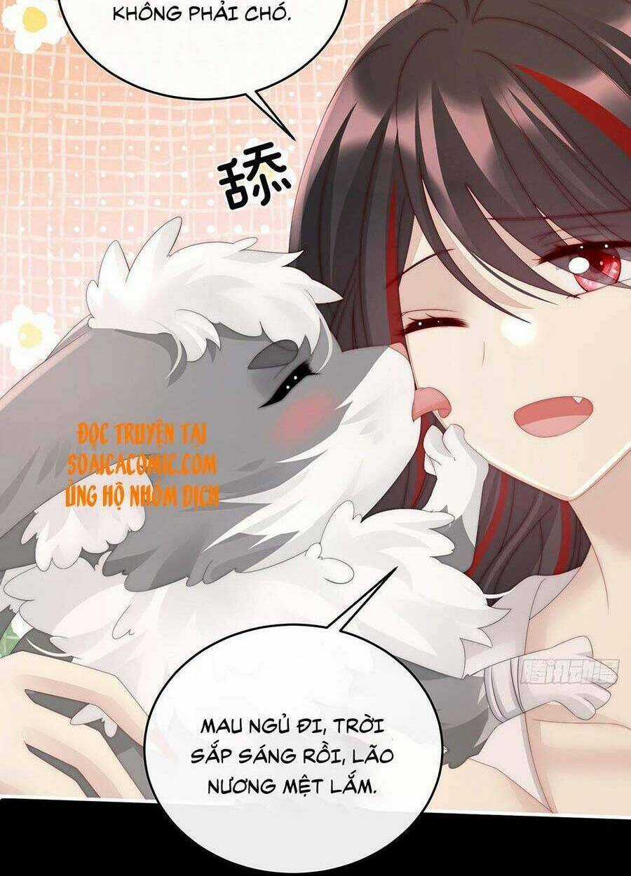 Thê Chủ, Thỉnh Hưởng Dụng Chapter 20 trang 49