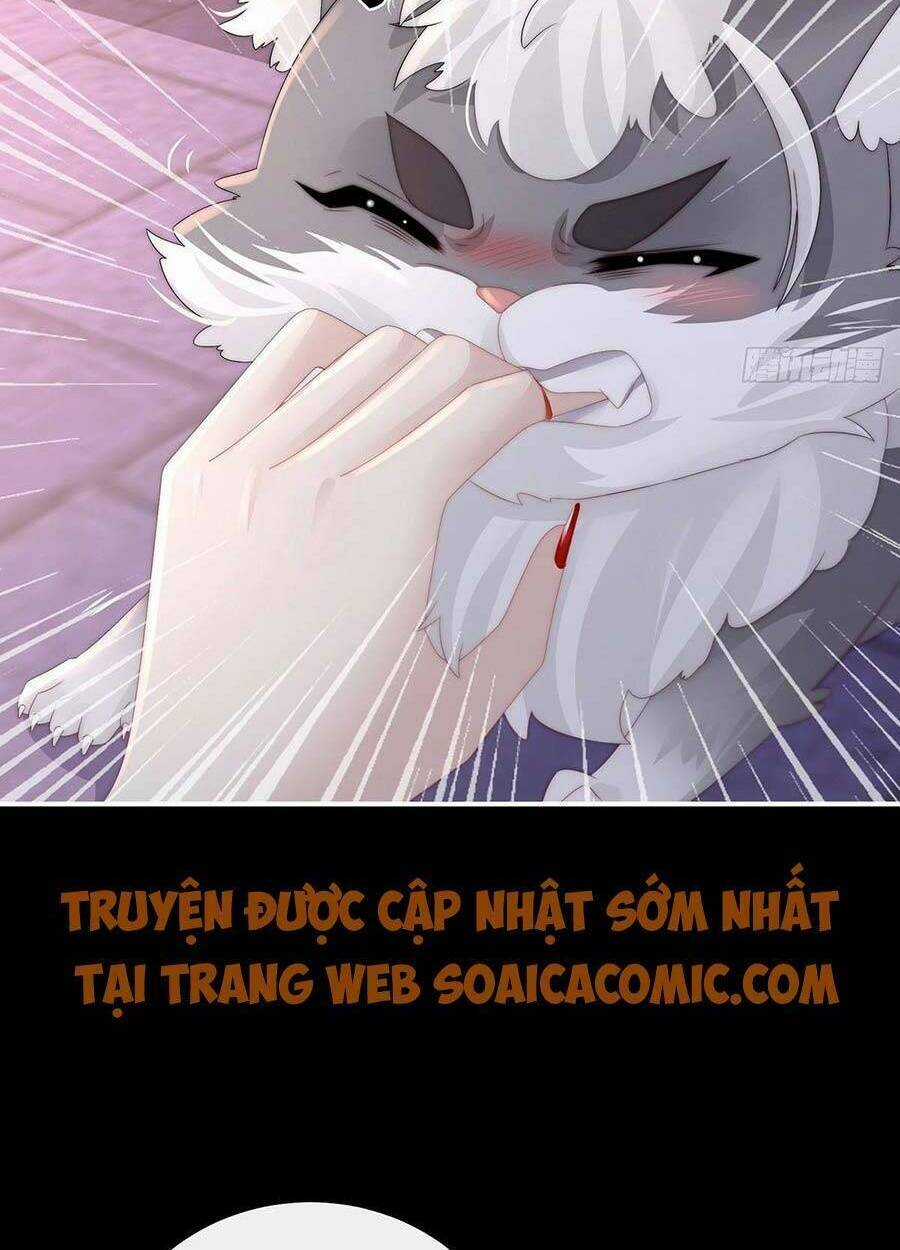 Thê Chủ, Thỉnh Hưởng Dụng Chapter 20 trang 5