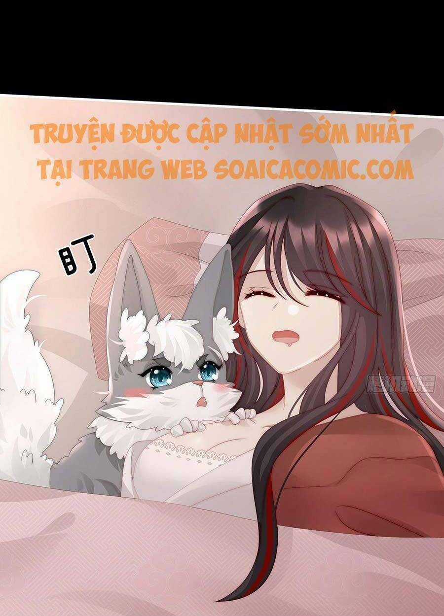 Thê Chủ, Thỉnh Hưởng Dụng Chapter 20 trang 50