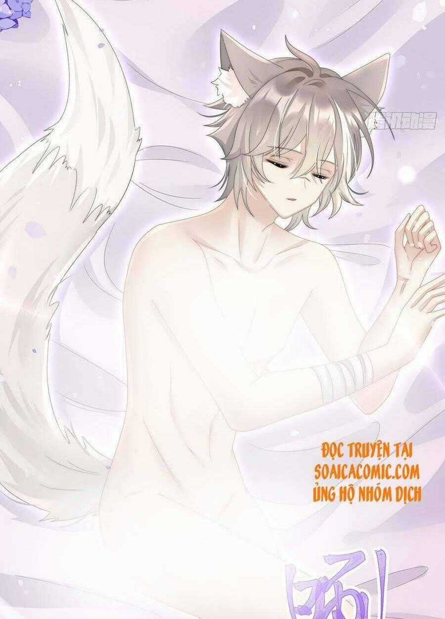 Thê Chủ, Thỉnh Hưởng Dụng Chapter 20 trang 53