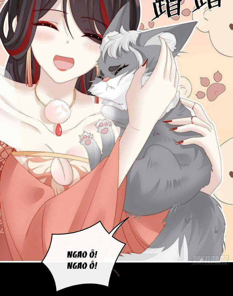 Thê Chủ, Thỉnh Hưởng Dụng Chapter 20 trang 8