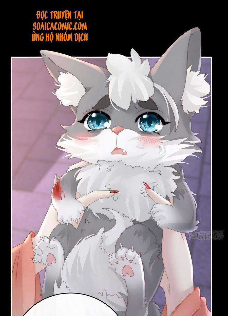 Thê Chủ, Thỉnh Hưởng Dụng Chapter 20 trang 9