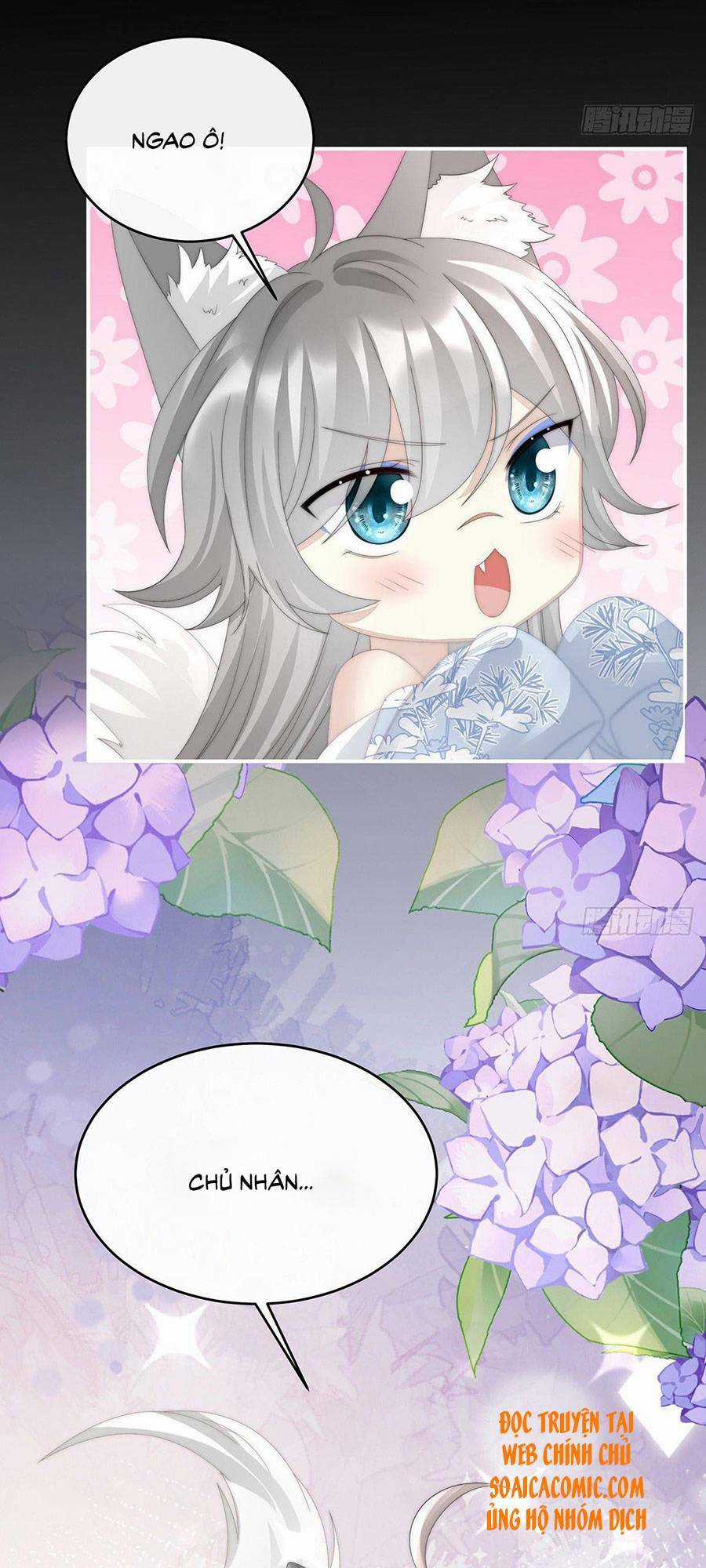 Thê Chủ, Thỉnh Hưởng Dụng Chapter 24 trang 22