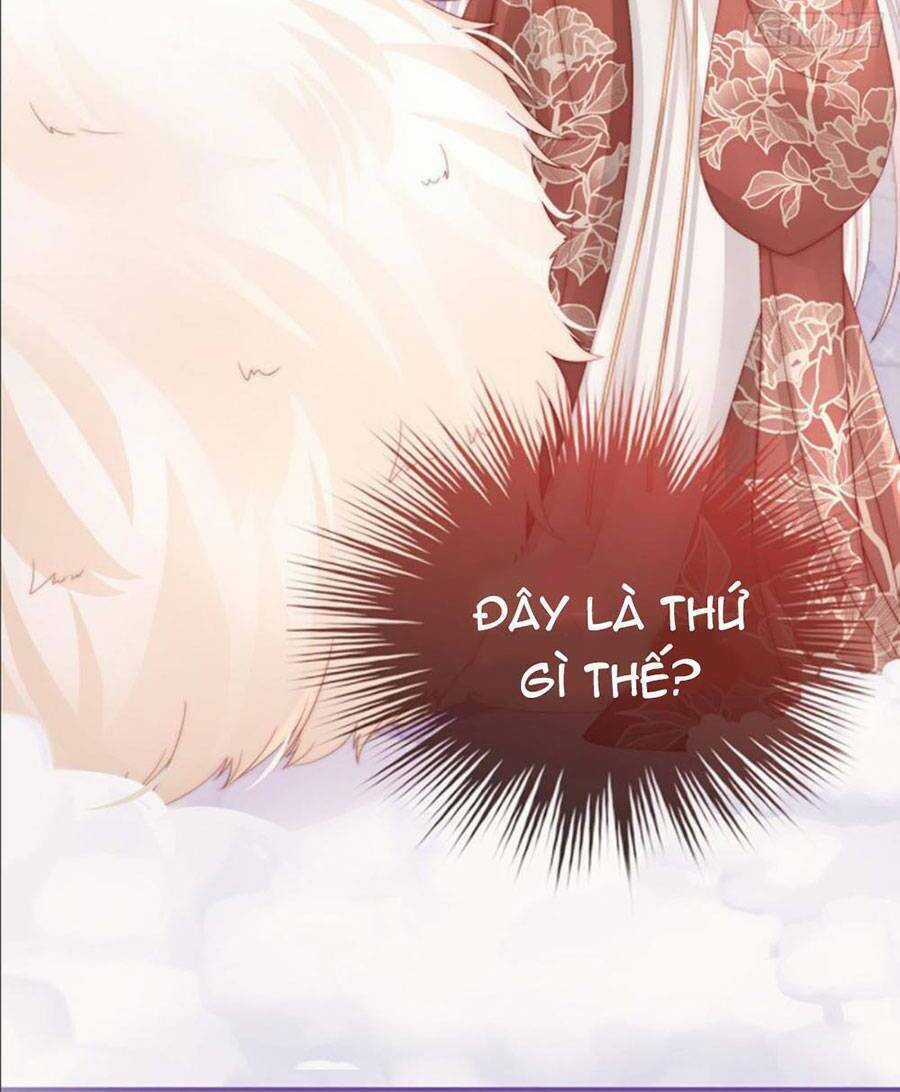 Thê Chủ, Thỉnh Hưởng Dụng Chapter 27 trang 38