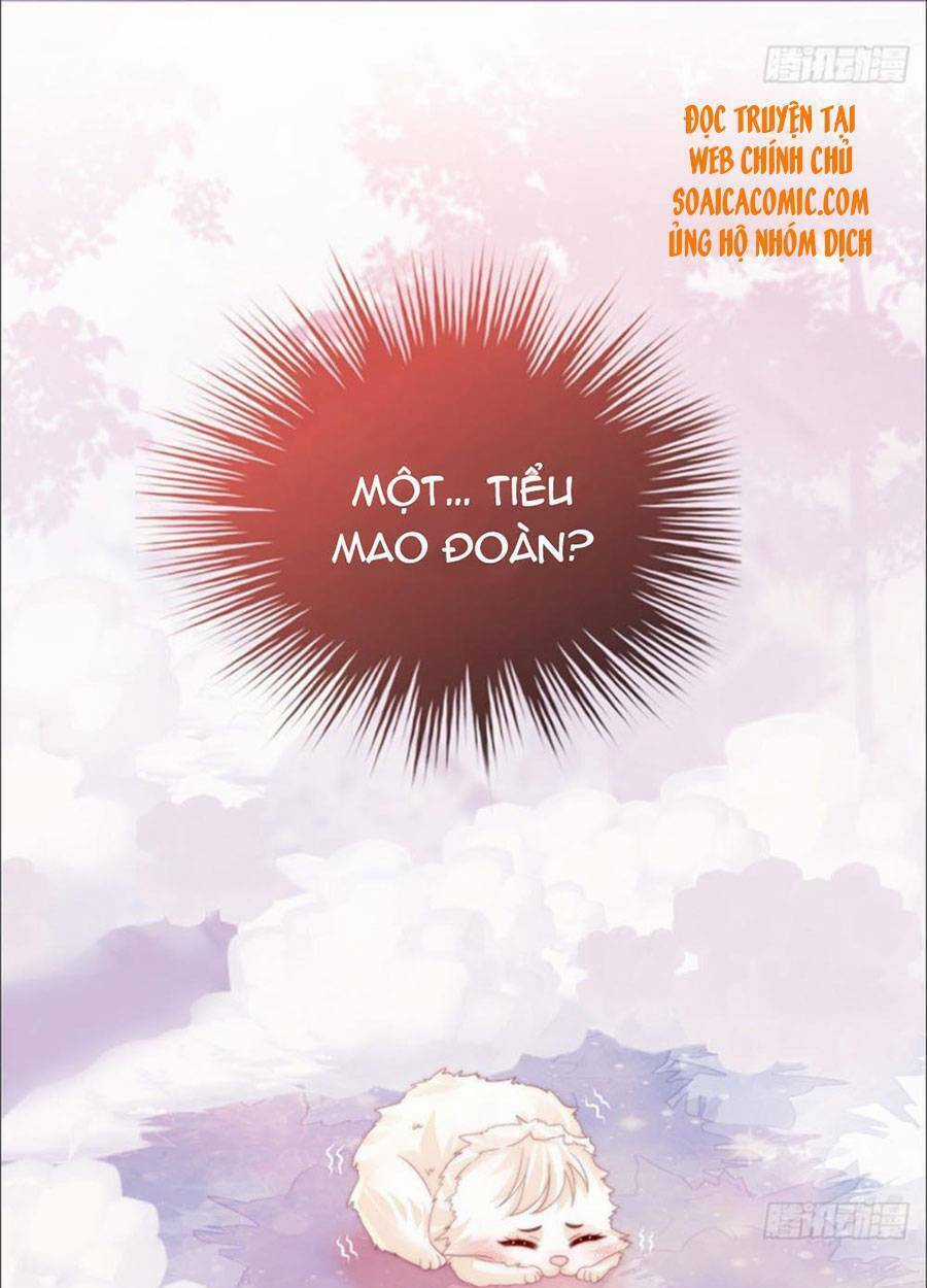 Thê Chủ, Thỉnh Hưởng Dụng Chapter 27 trang 39