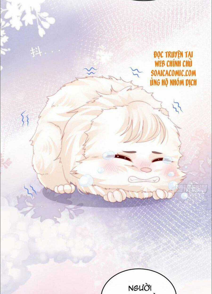 Thê Chủ, Thỉnh Hưởng Dụng Chapter 27 trang 42