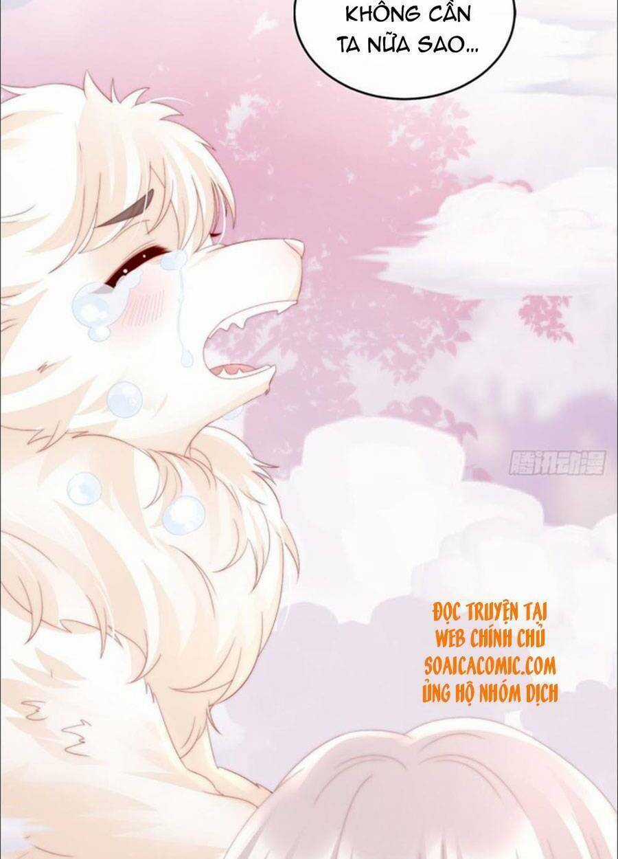 Thê Chủ, Thỉnh Hưởng Dụng Chapter 27 trang 43