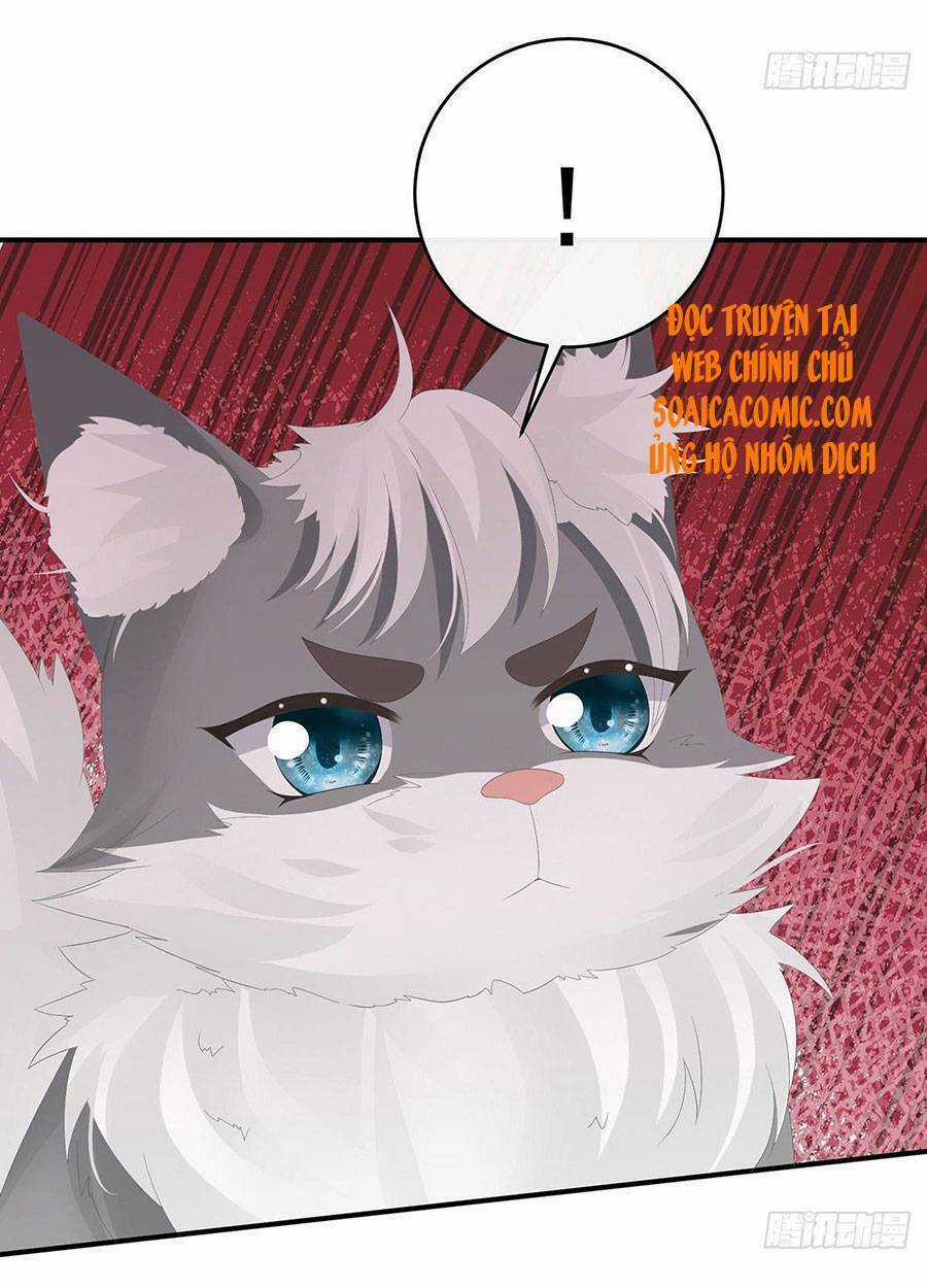 Thê Chủ, Thỉnh Hưởng Dụng Chapter 32 trang 47