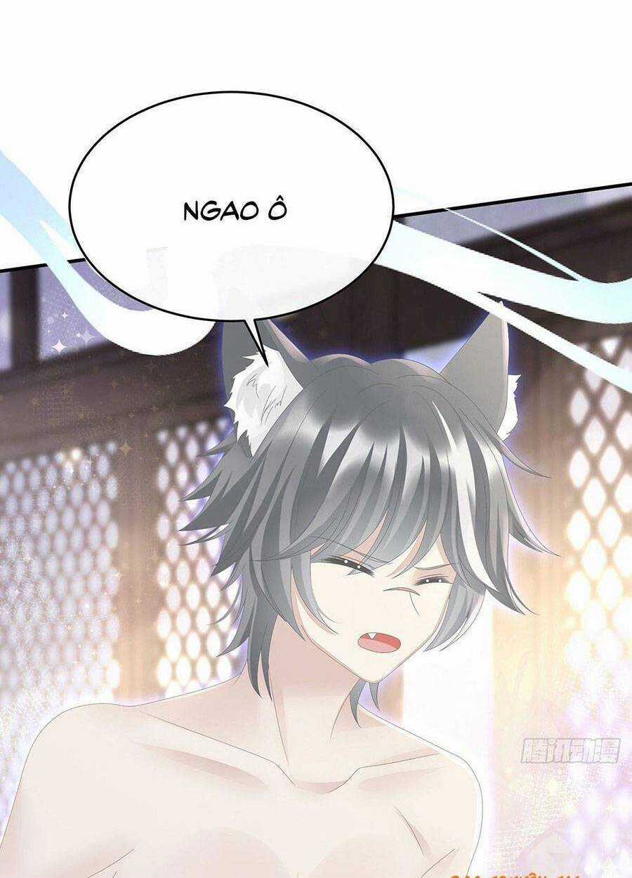 Thê Chủ, Thỉnh Hưởng Dụng Chapter 32 trang 48