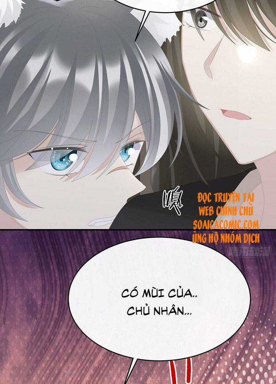 Thê Chủ, Thỉnh Hưởng Dụng Chapter 32 trang 50